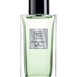 عطر ادکلن پامپل مووس و بزیلیک لهسانس دنوت - Pamplemousse&Basilic L'Essence des Notes - بررسی، قیمت و خرید