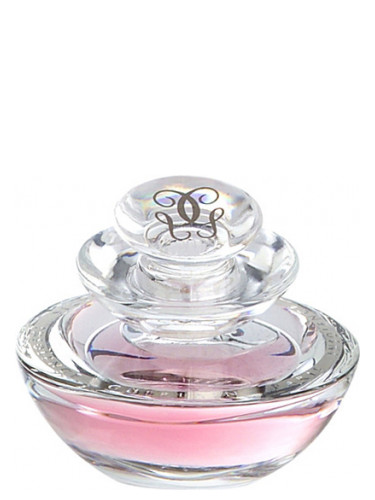 عطر ادکلن اینسولنس اکستریت گرلن - Insolence Extrait Guerlain - بررسی، قیمت و خرید