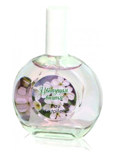 عطر ادکلن چری بلاسوم پوکروکا تریدینگ هاوس - Cherry Blossom Pokrovka Trading House - بررسی، قیمت و خرید