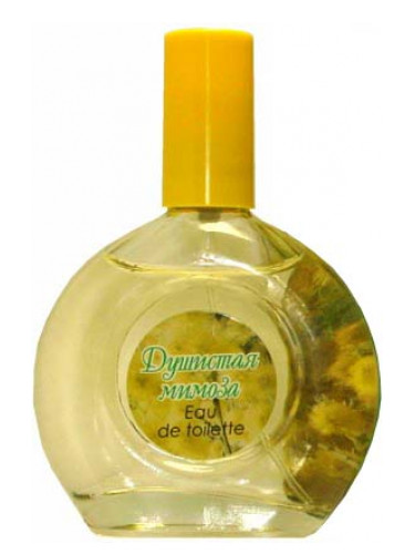 عطر ادکلن سوییت میموسا پوکروفکا تریدینگ هاوس - Sweet Mimosa Pokrovka Trading House - بررسی، قیمت و خرید
