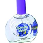 عطر ادکلن پارما وایولت پوکروفکا تریدینگ هوس - Parma Violet Pokrovka Trading House - بررسی، قیمت و خرید