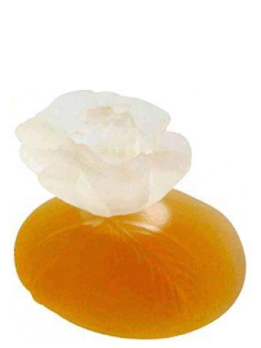 عطر ادکلن کنزو کنزو - Kenzo Kenzo - بررسی، قیمت و خرید