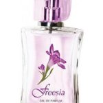 عطر ادکلن فریزیا نووایا زاریا - Freesia Новая Заря (The New Dawn) - بررسی، قیمت و خرید