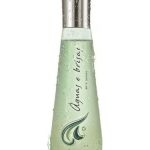 عطر ادکلن آگواس ئی بریساس سته اونداش ایوان - Águas e Brisas Sete Ondas Avon - بررسی، قیمت و خرید
