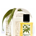 عطر ادکلن پلومریا بلانکا فلوراژ - Plumeria Blanca Fleurage - بررسی، قیمت و خرید