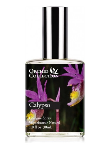 عطر ادکلن کالیپسو ارکید دمیتر فرگرانس - Calypso Orchid Demeter Fragrance - بررسی، قیمت و خرید