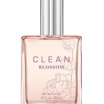 عطر ادکلن کلین بلوسم کلین - Clean Blossom Clean - بررسی، قیمت و خرید