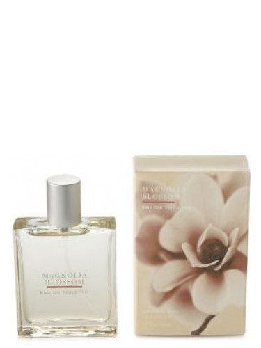 عطر ادکلن مگنولیا بلاسم بث اند بادی ورکز - Magnolia Blossom Bath & Body Works - بررسی، قیمت و خرید