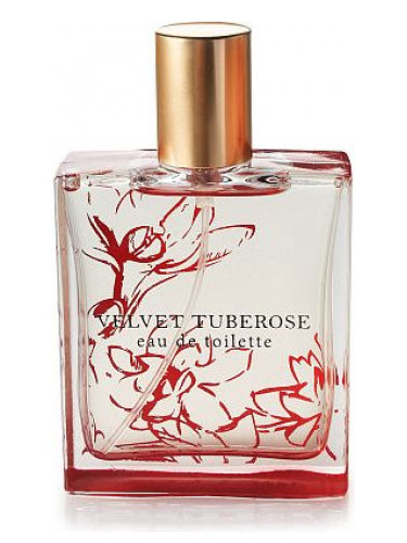 عطر ادکلن ولوت تیوبروز بث اند بادی ورکس - Velvet Tuberose Bath & Body Works - بررسی، قیمت و خرید