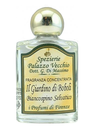 عطر ادکلن ایل جاردینو دی بوبولی آی پروفومی دی فلورانس - Il Giardino Di Boboli I Profumi di Firenze - بررسی، قیمت و خرید