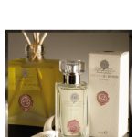 عطر ادکلن ان تو گُچِه دی بایرون - n 2 Gocce di Byron - بررسی، قیمت و خرید