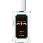 عطر ادکلن سیترس من دامه پرفیومری - Citrus Man Dame Perfumery - بررسی، قیمت و خرید