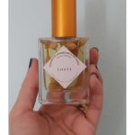 عطر ادکلن کوستا رادیواکتیو ماشرومز این د فورست - Costa Radioactive Mushrooms in the Forest - بررسی، قیمت و خرید