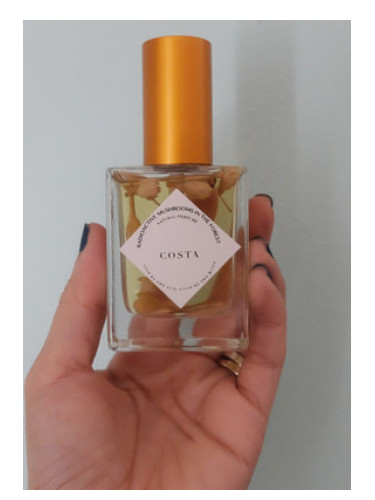 عطر ادکلن کوستا رادیواکتیو ماشرومز این د فورست - Costa Radioactive Mushrooms in the Forest - بررسی، قیمت و خرید