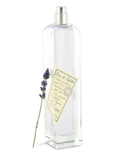 عطر ادکلن اُ دو لا رِکُلت بِلُ لوکسیتان - Eau de la Recolte Bleue L'Occitane en Provence - بررسی، قیمت و خرید