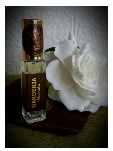 عطر ادکلن گاردنیا ابسولوتا ذی اگزاٹک آیلند پرفیومر - Gardenia Absoluta The Exotic Island Perfumer - بررسی، قیمت و خرید