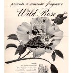 عطر ادکلن وایلد رز فرانسیس دنی - Wild Rose Frances Denney - بررسی، قیمت و خرید