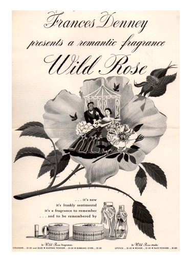 عطر ادکلن وایلد رز فرانسیس دنی - Wild Rose Frances Denney - بررسی، قیمت و خرید