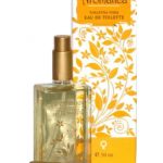 عطر ادکلن آروماتیکا او دو تویلت آروماتیکا - Aromatica Eau de Toilette Aromatica - بررسی، قیمت و خرید