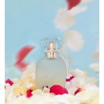 عطر ادکلن آن زفیغ د روز لِه پَرفَمز دُ روزین - Un Zephir de Rose Les Parfums de Rosine - بررسی، قیمت و خرید