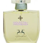 عطر ادکلن ویولتا دی پروونزا گاندینی ۱۸۹۶ - Violetta di Provenza Gandini 1896 - بررسی، قیمت و خرید