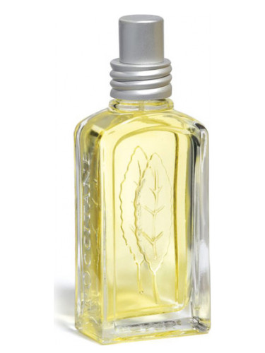 عطر ادکلن وربین اگروم لوکسیتان - Verveine Agrumes 2008 L'Occitane en Provence - بررسی، قیمت و خرید