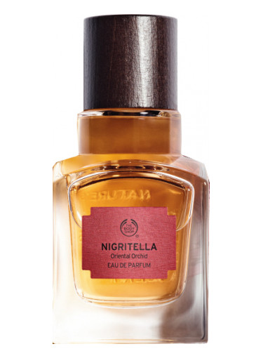عطر ادکلن نیگریتلا ذا بادی شاپ - Nigritella The Body Shop - بررسی، قیمت و خرید