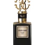 عطر ادکلن دیوان عود روبerto کاوالی - Divine Oud Roberto Cavalli - بررسی، قیمت و خرید