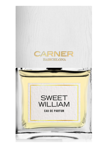 عطر ادکلن سوییت ویلیام کارنر بارسلونا - Sweet William Carner Barcelona - بررسی، قیمت و خرید
