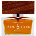 عطر ادکلن اِوِرگِرین تون اند بلوم - Evergreen Thorn & Bloom - بررسی، قیمت و خرید