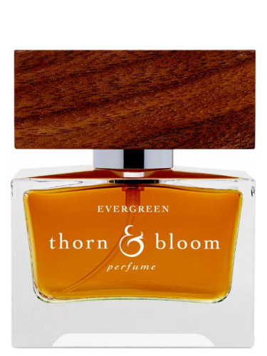عطر ادکلن اِوِرگِرین تون اند بلوم - Evergreen Thorn & Bloom - بررسی، قیمت و خرید