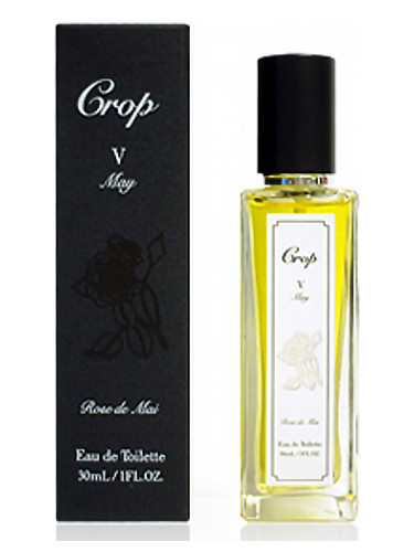 عطر ادکلن وی می کراپ - V May Crop - بررسی، قیمت و خرید