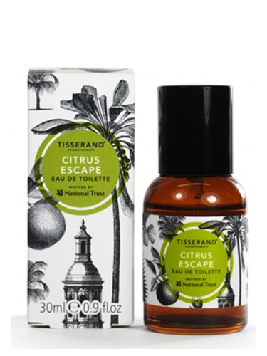 عطر ادکلن سیترس اسکیپ تیسراند - Citrus Escape Tisserand - بررسی، قیمت و خرید