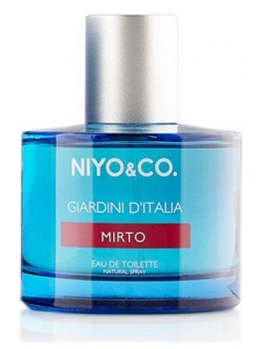 عطر ادکلن میرتو نیو اند کو - Mirto NIYO&CO - بررسی، قیمت و خرید