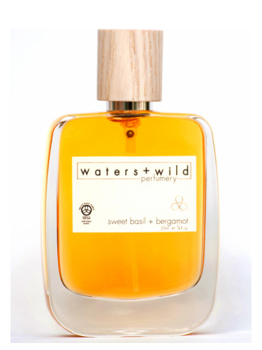 عطر ادکلن سویت بیزل برگاموت واترز اند وایلڈ پرفیومری - Sweet Basil + Bergamot Waters + Wild Perfumery - بررسی، قیمت و خرید
