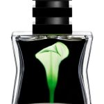 عطر ادکلن نمبر بیست و دو اس جی هفتاد و نه اس تی اچ ال ام - Nº 22 SG79 STHLM - بررسی، قیمت و خرید
