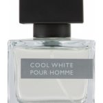 عطر ادکلن کول وایت پور هوم سی اند ای - Cool White Pour Homme C&A - بررسی، قیمت و خرید