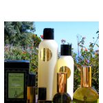 عطر ادکلن پرفکت چیپر سارا هوروویتز پرفیومز - Perfect Chypre Sarah Horowitz Parfums - بررسی، قیمت و خرید