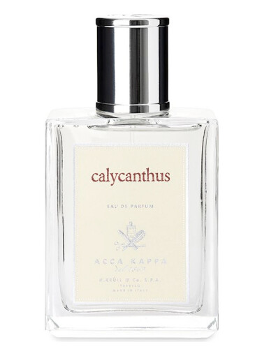 عطر ادکلن کالیکانتوس آکاکاپا - Calycanthus Acca Kappa - بررسی، قیمت و خرید