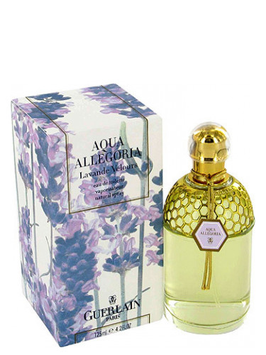 عطر ادکلن آکوا آلگوریا لاوندر ولوغس گرلن - Aqua Allegoria Lavande Velours Guerlain - بررسی، قیمت و خرید