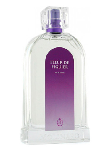 عطر ادکلن لز فلور فلور دو فیکه مولینارد - Les Fleurs Fleur De Figuer Molinard - بررسی، قیمت و خرید