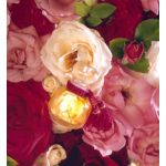 عطر ادکلن له روز لژه لی پارفوم دو روزین - La Rose Legere Les Parfums de Rosine - بررسی، قیمت و خرید