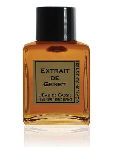 عطر ادکلن ژنت لو دوکسیس - Genet L'Eau De Cassis - بررسی، قیمت و خرید