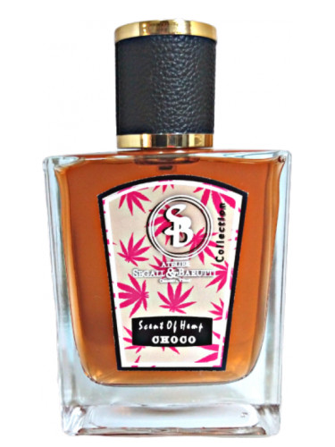 عطر ادکلن سنت آو همپ چوکو اَتِلیر سِگال اَند باروتی - Scent of Hemp Choco Atelier Segall & Barutti - بررسی، قیمت و خرید