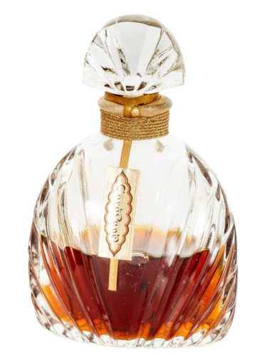 عطر ادکلن کاروان بینه میه - Caravane Bienaimé - بررسی، قیمت و خرید
