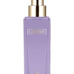 عطر ادکلن لاواندا برزیلرا داوِن - Lavanda Brasileira Davene - بررسی، قیمت و خرید