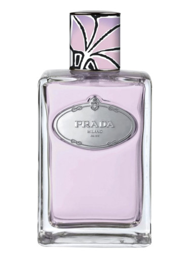عطر ادکلن اینفیوژن د توبرز پرادا - Infusion de Tubereuse Prada - بررسی، قیمت و خرید
