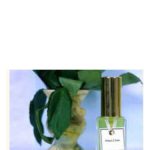 عطر ادکلن فوی ور دی اس اچ پرفیومز - Feuilles Vertes (Green Leaves) DSH Perfumes - بررسی، قیمت و خرید