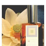 عطر ادکلن پدمه لوتوس دی‌اس‌اچ پرفیوم - Padme Lotus DSH Perfumes - بررسی، قیمت و خرید