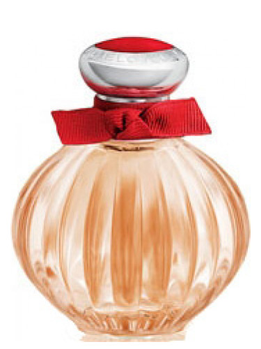 عطر ادکلن بلاود رد رز آمریکن بیوتی - Beloved Red Rose American Beauty - بررسی، قیمت و خرید